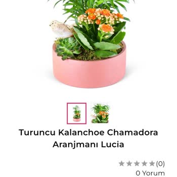 Yanlış Ürün, Solmuş Çiçek Ve İlgisiz Müşteri Hizmetiyle Hayal Kırıklığı