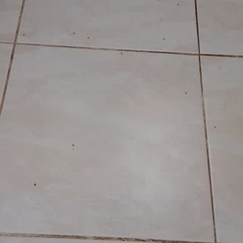 Konaklama Sürecinde Yaşanan Ciddi Temizlik Ve Altyapı Sorunları