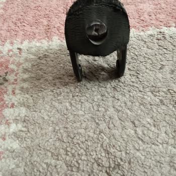 Decathlon'da Paten Fren Pabucu Sorunu Ve Çözüm Beklentisi