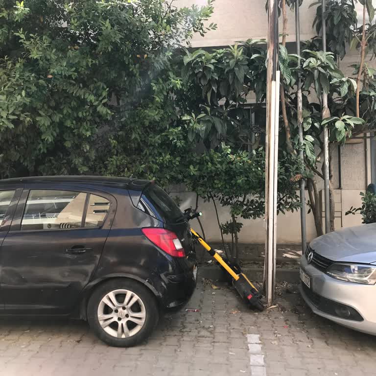 Başıboş Elektrikli Araçlar Tehlike Saçıyor
