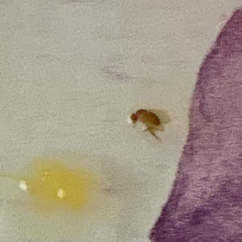 Taze Sıkma Portakal Suyunda Böcek Çıkması Hayal Kırıklığı Yarattı