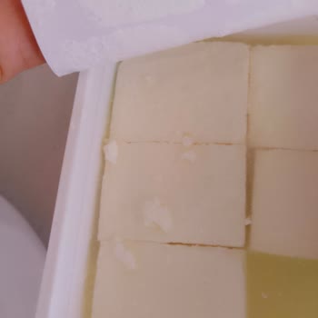 Torku Peynirde Sık Sık Bozulma Ve Kötü Koku Sorunu