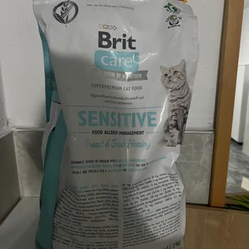 Kedime Zararlı Mama Ve Yetersiz Müşteri Hizmetleri