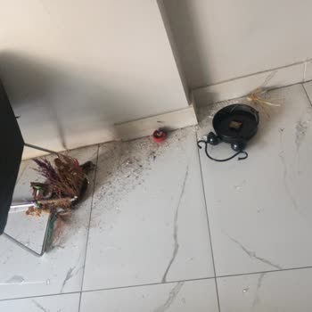 Seans Sırasında Yaşadığım Olumsuzluklar Ve Çalışanların Tutumu