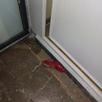 Seans Sırasında Yaşadığım Olumsuzluklar Ve Çalışanların Tutumu