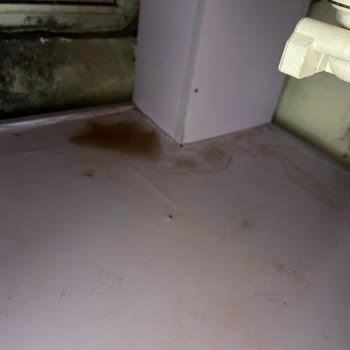 Sudem Temizlik | Ankara Eksik Temizlik Ve Kaba Davranışla Yaşanan Mağduriyet