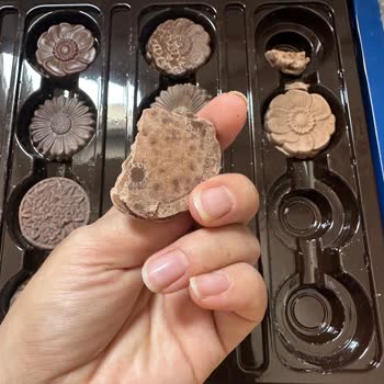 Bayramda Hediye Olarak Aldığım Çikolata Bozuk Çıktı, Hala Dönüş Yapılmadı