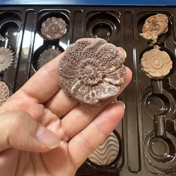 Bayramda Hediye Olarak Aldığım Çikolata Bozuk Çıktı, Hala Dönüş Yapılmadı