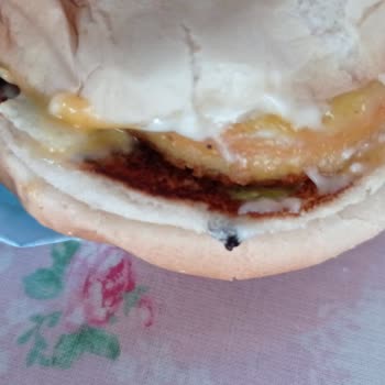 Burger King Siparişimde Ölü Sinek Çıkması Nedeniyle Sağlık Endişesi Yaşadım