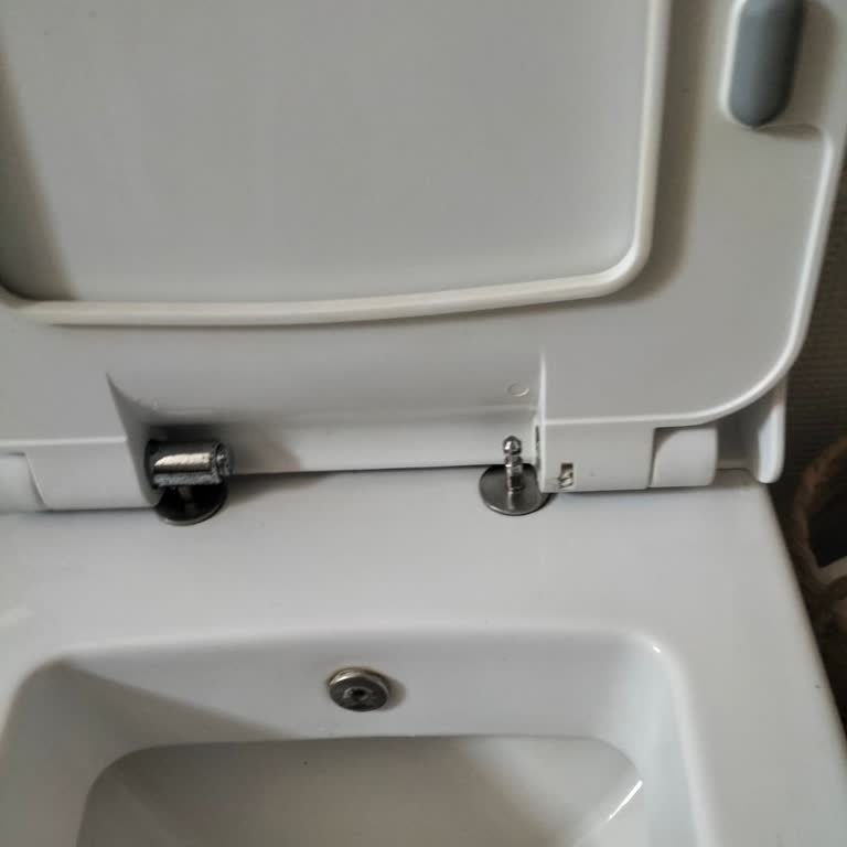 Seramiksan Klozet Kapağı Menteşe Sorunu Ve Müşteri Hizmetlerine Ulaşılamıyor