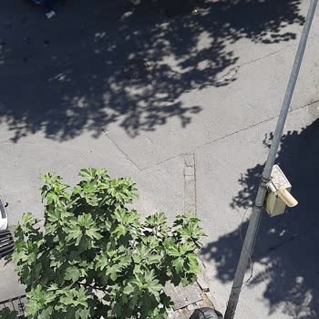 Arıza Tespit Edildiği Halde 4 Gündür Müdahale Edilmiyor, Mağduriyetim Giderilmiyor
