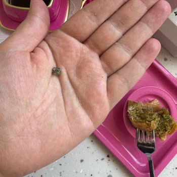 Baklavadan Taş Çıkmasıyla Misafirlerimin Önünde Zor Durumda Kaldım