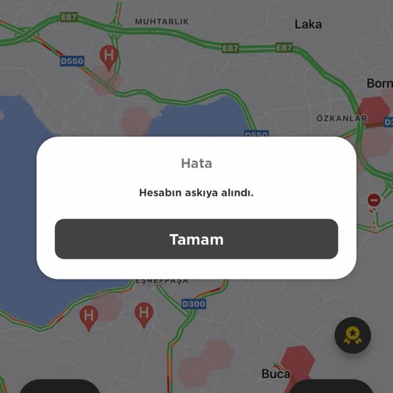 Martı Haksız Hesap Kısıtlamasıyla Mağdur Edildim!