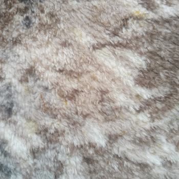 Bursa Kerem Halı Yıkama Halıdaki Lekeler Çıkmamış!