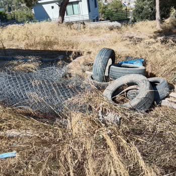 Orman Sahasına Konteyner Ve Eşya Yerleştirilmesine Çözüm Bekliyorum