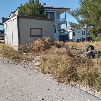 Orman Sahasına Konteyner Ve Eşya Yerleştirilmesine Çözüm Bekliyorum