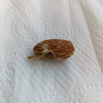 Aldığım Çiğ Bademin Küflü Ve Bozuk Çıkması Hayal Kırıklığı Yarattı