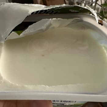 Tarihi Geçmemiş Sütaş Süzme Yoğurt Bozuk Çıktı Misafir Hazırlığında Mağdur Oldum