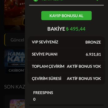 Casibom Yatırımım Sahte Siteye Geçti, Mağdur Oldum