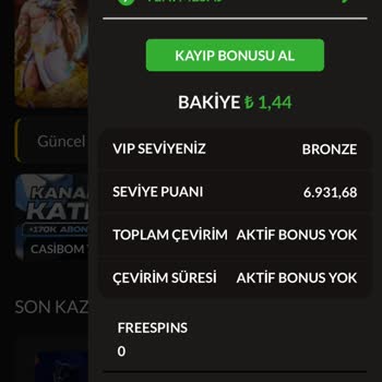 Casibom Yatırımım Sahte Siteye Geçti, Mağdur Oldum