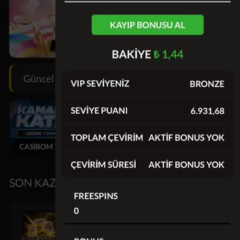 Casibom Yatırımım Sahte Siteye Geçti, Mağdur Oldum