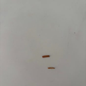 Adora Dondurmada Tahta Parçası Tehlikesiyle Karşılaştık