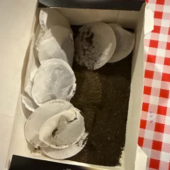 Lipton Demlik Poşet Çaylarda Poşetlerin Patlaması Sorunu