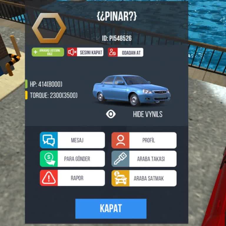 Oyunda Kişisel Bilgilerin Araştırılması Ve Küfürlü Davranışlar