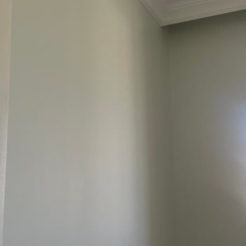 Katalogdan Seçilen Beyaz Renk Duvarda Yeşile Döndü, Mağduriyet Yaşıyorum