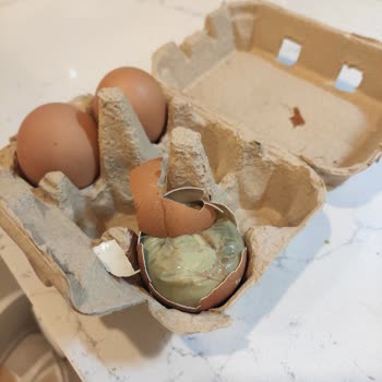 BİM'den Aldığım Organik Yumurtalar Bozuk Çıktı, Sağlığım Tehlikeye Girdi