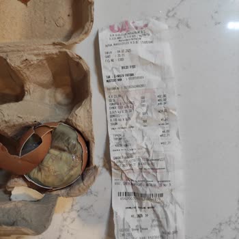 BİM'den Aldığım Organik Yumurtalar Bozuk Çıktı, Sağlığım Tehlikeye Girdi