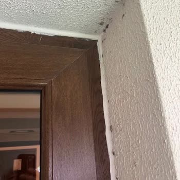 Latanya Park Resort Hotel (Bodrum) Oda Çok Eski Ve Bakımsızdı, Her Yer Örümcek Böcek