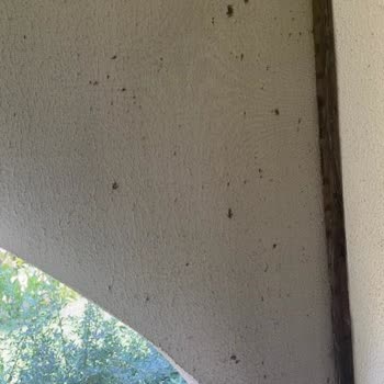 Latanya Park Resort Hotel (Bodrum) Oda Çok Eski Ve Bakımsızdı, Her Yer Örümcek Böcek