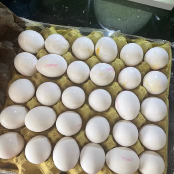 Siparişte Tarihi Geçmiş Peynir Ve Kırık Yumurta Sorunu