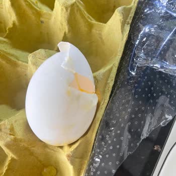 Siparişte Tarihi Geçmiş Peynir Ve Kırık Yumurta Sorunu