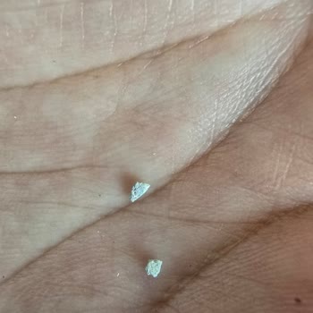 Lipton Çay Paketinde Yabancı Maddeyle Karşılaştım