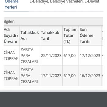 Hatalı Davranış Sonucu Kesilen Cezanın Affını Talep Ediyorum