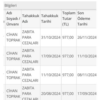 Hatalı Davranış Sonucu Kesilen Cezanın Affını Talep Ediyorum
