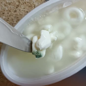 Son Kullanma Tarihi Geçmemiş Peynir Bozuk Çıktı, Çocuklara Özel Ambalaj Endişesi