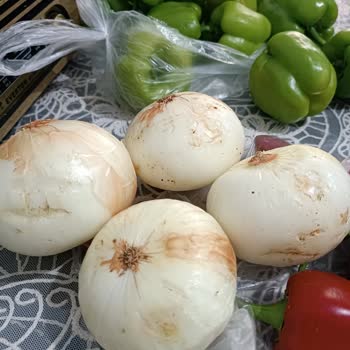 Migros Sanal Siparişimde Bozuk Ürünler Ve İlgisiz Müşteri Hizmeti