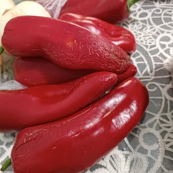 Migros Sanal Siparişimde Bozuk Ürünler Ve İlgisiz Müşteri Hizmeti