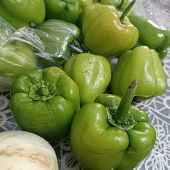 Migros Sanal Siparişimde Bozuk Ürünler Ve İlgisiz Müşteri Hizmeti