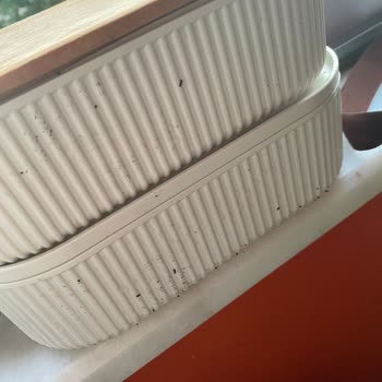 Madame Coco Saklama Kaplarının Lastikleri Kısa Sürede Bozuldu