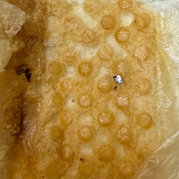 Migros Aldığım Ekmekten Yabancı Madde Çıktı, Sağlığım Tehlikeye Girdi