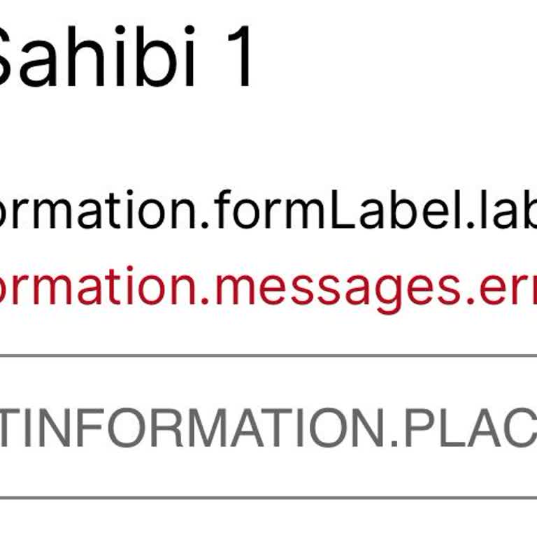 VFS Global Sitesindeki Hata Nedeniyle Vize Başvurumu Tamamlayamıyorum