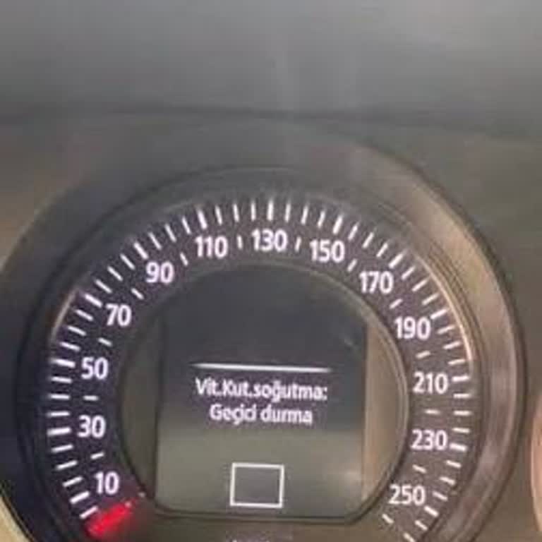 Renault Megane'da Sürekli Tekrarlayan Sistem Arızaları Ve Yetersiz Servis Hizmeti