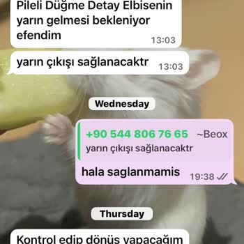 Siparişim On Beş Gündür Kargoya Verilmedi!