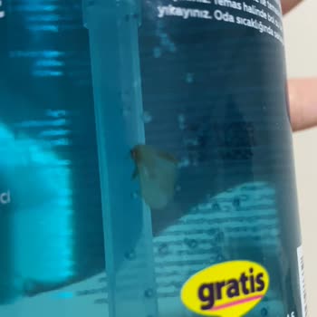 Yüz Temizleme Jelinde Böcek Çıkması Ve Yetersiz Müşteri Hizmetleri