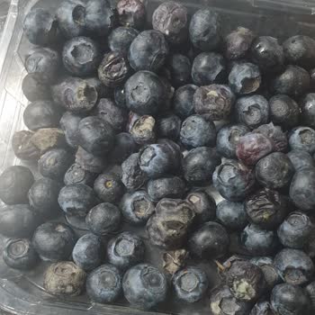 Migros Hemen Siparişimde Küflü Yaban Mersini Ve SKT Geçmiş Nugget Şoku