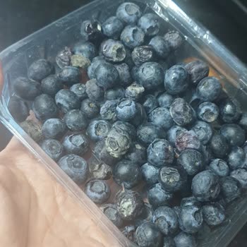 Migros Hemen Siparişimde Küflü Yaban Mersini Ve SKT Geçmiş Nugget Şoku